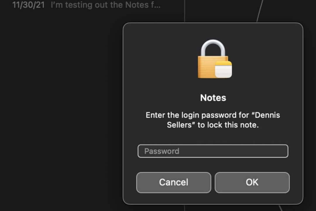 使用 MACOS VENTURA NOTES 中改进的锁定、协作功能-2
